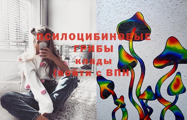 a pvp Богородицк