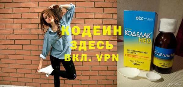 трава Няндома