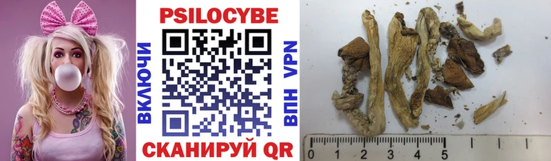 это Telegram  Коркино  Галлюциногенные грибы Psilocybe 